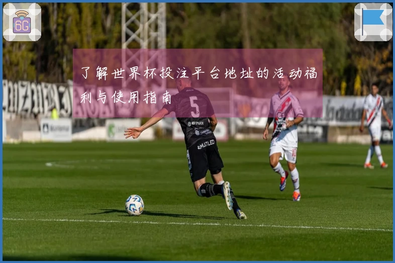 了解世界杯投注平台地址的活动福利与使用指南