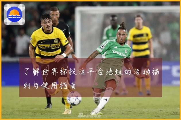 了解世界杯投注平台地址的活动福利与使用指南