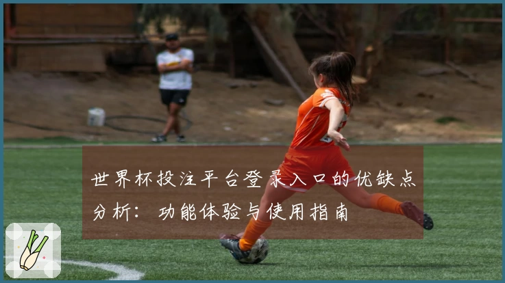 世界杯投注平台登录入口的优缺点分析：功能体验与使用指南