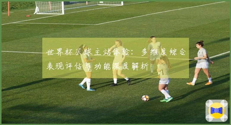 世界杯买球主站体验：多维度综合表现评估与功能深度解析