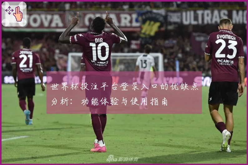 世界杯投注平台登录入口的优缺点分析：功能体验与使用指南