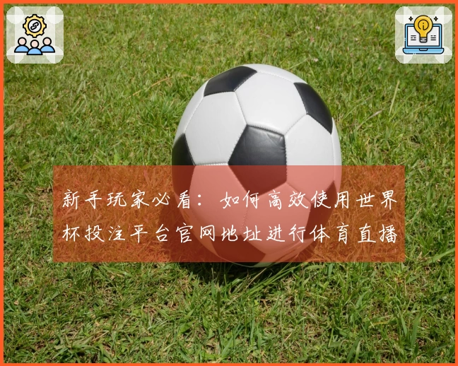 新手玩家必看：如何高效使用世界杯投注平台官网地址进行体育直播体验指南